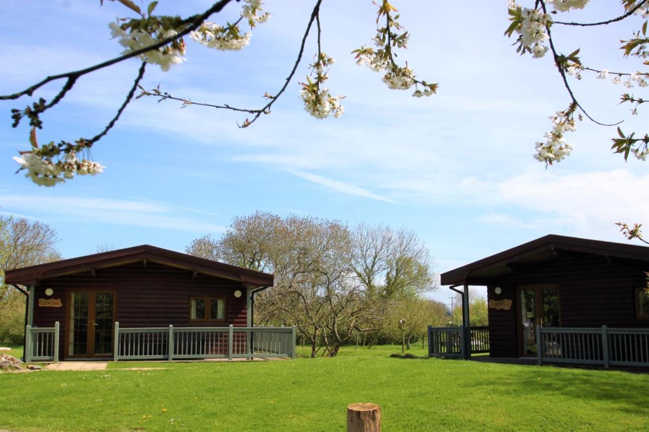 Wall Eden Farm - Luxury Log Cabins And Glamping Highbridge Buitenkant foto