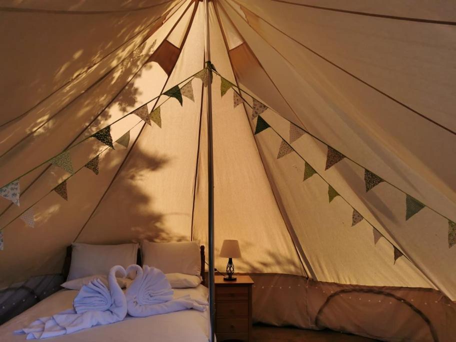 Wall Eden Farm - Luxury Log Cabins And Glamping Highbridge Buitenkant foto