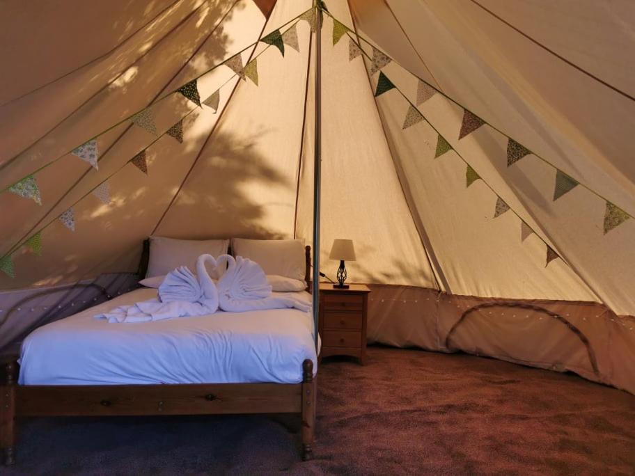 Wall Eden Farm - Luxury Log Cabins And Glamping Highbridge Buitenkant foto