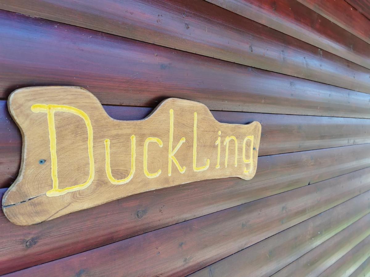 Wall Eden Farm - Luxury Log Cabins And Glamping Highbridge Buitenkant foto