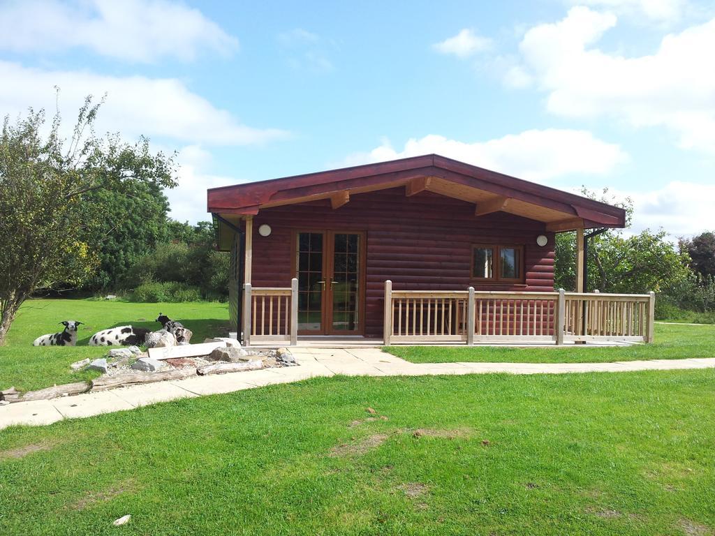 Wall Eden Farm - Luxury Log Cabins And Glamping Highbridge Kamer foto