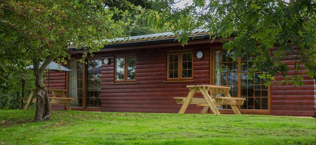 Wall Eden Farm - Luxury Log Cabins And Glamping Highbridge Buitenkant foto